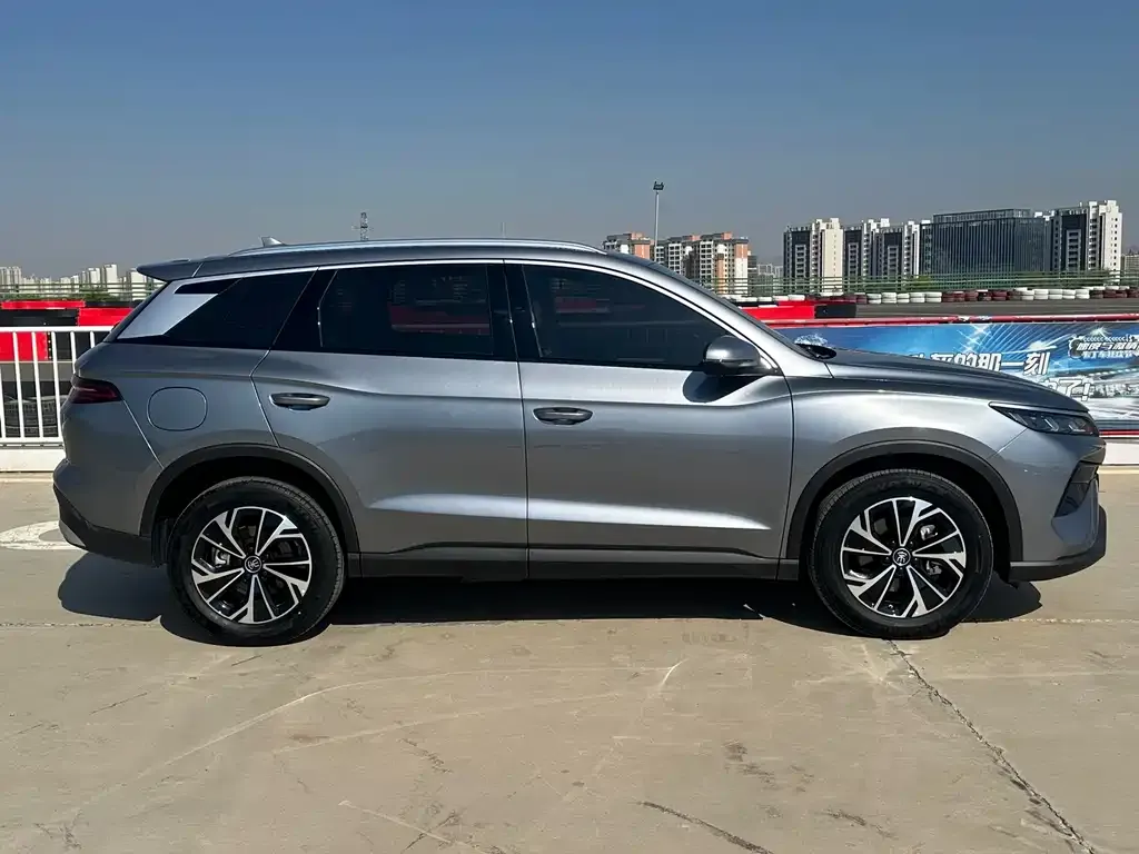 BYD Pro New Energy — фото 10