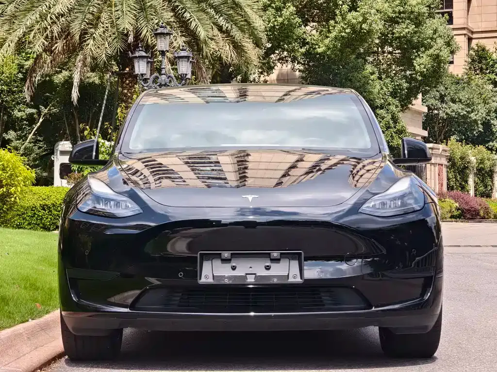 Tesla Model Y — фото 9