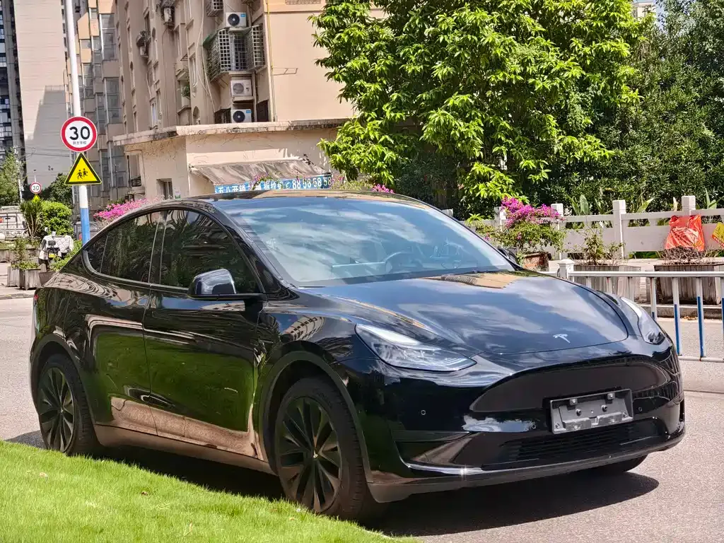 Tesla Model Y — фото 8