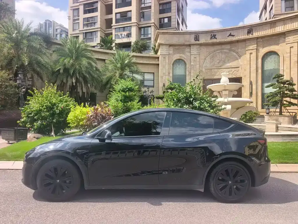 Tesla Model Y — фото 6