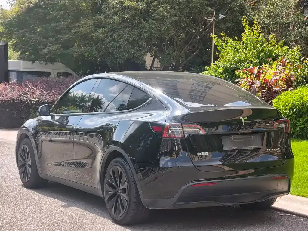 Tesla Model Y — фото 10