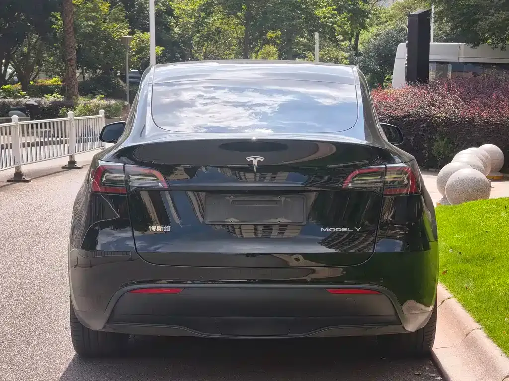 Tesla Model Y — фото 3