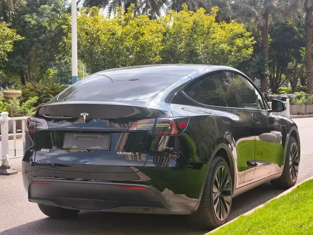 Tesla Model Y — фото 5