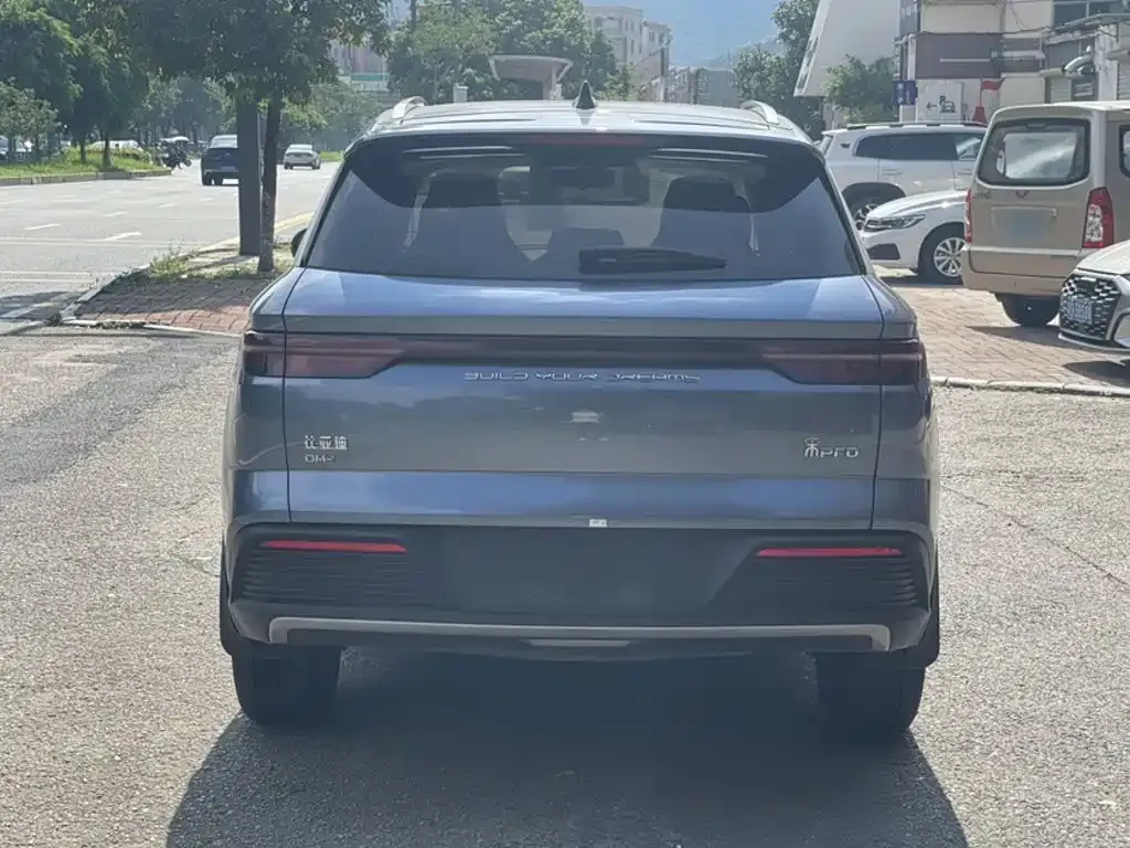 BYD Pro New Energy — фото 6