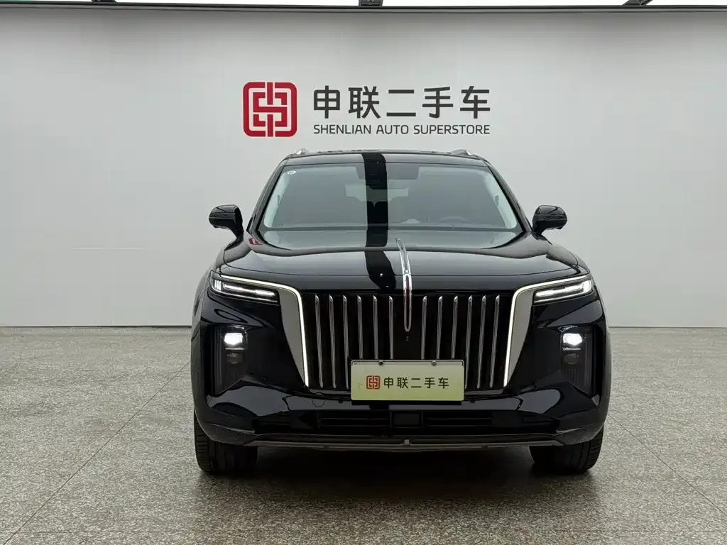 Hongqi E-HS9 — фото 5