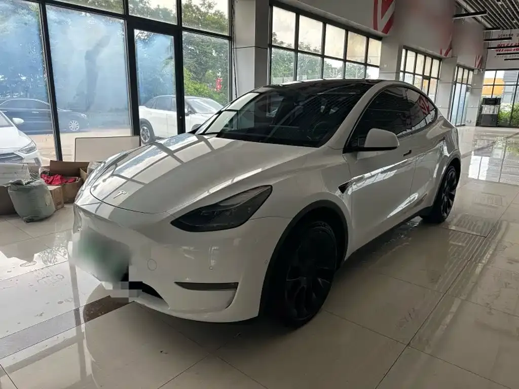 Tesla Model Y — фото 1