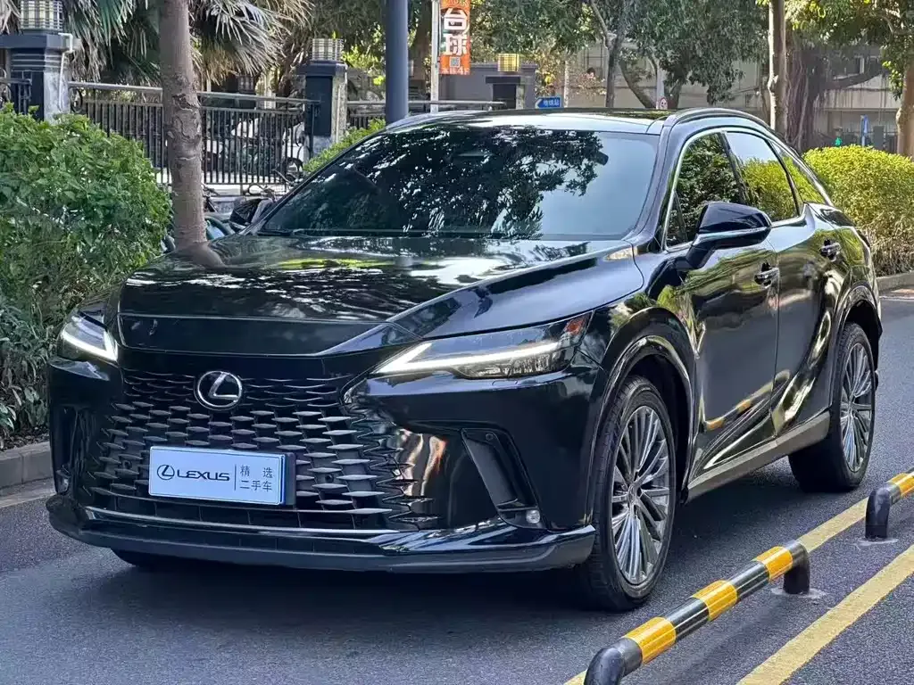 Lexus RX — фото 1