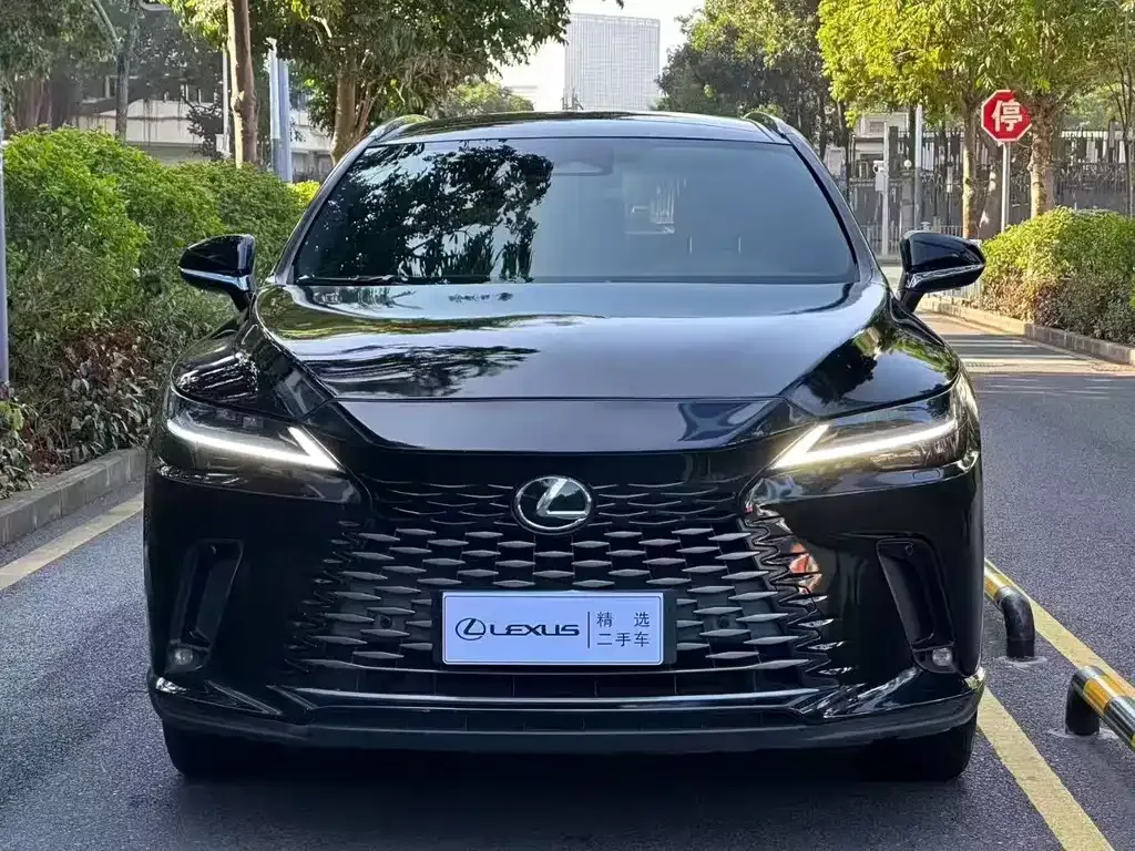 Lexus RX — фото 6