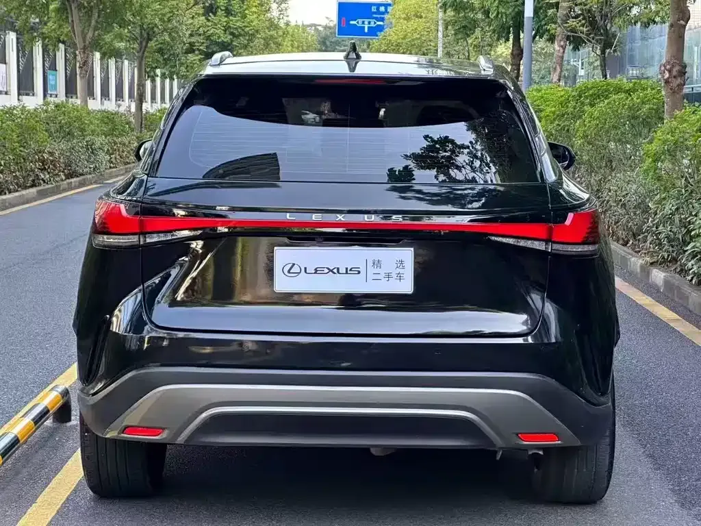 Lexus RX — фото 5