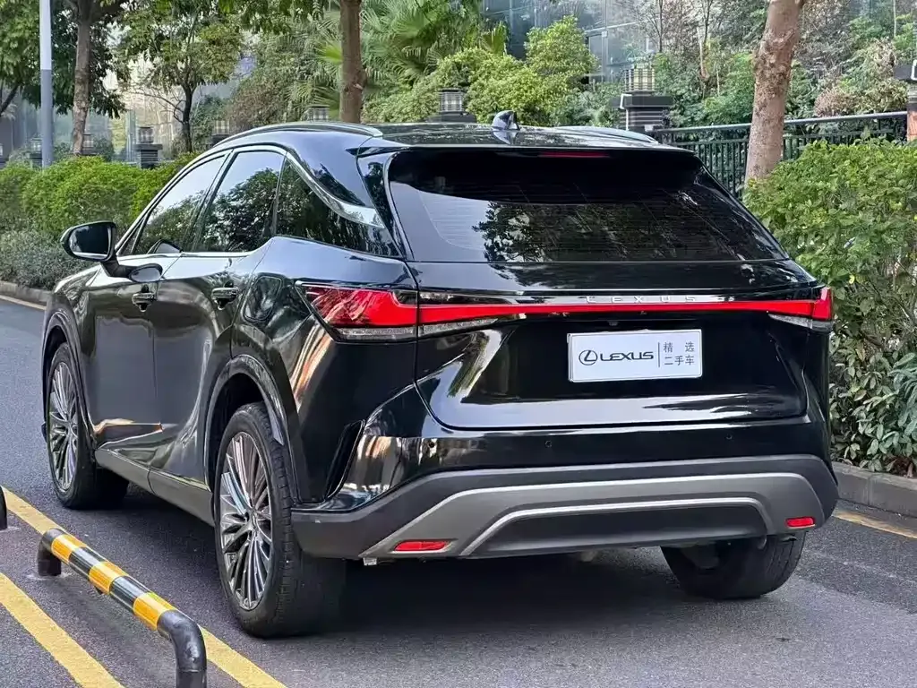 Lexus RX — фото 7