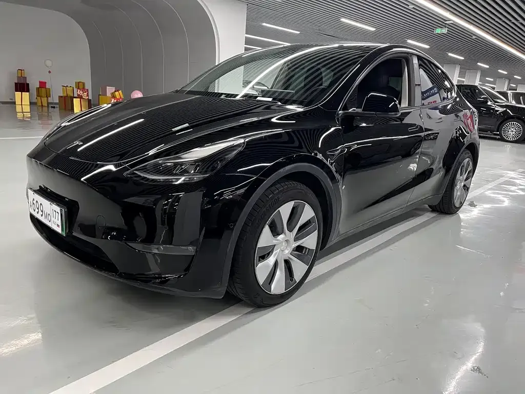 Tesla Model Y — фото 1