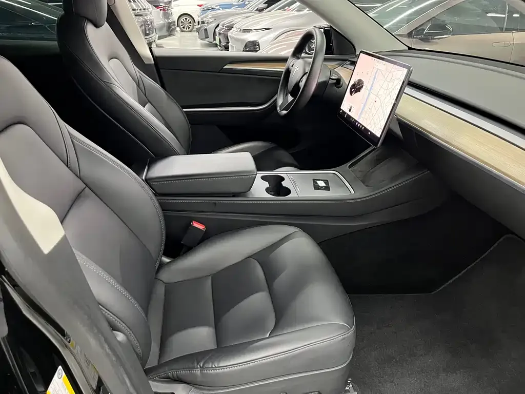 Tesla Model Y — фото 9
