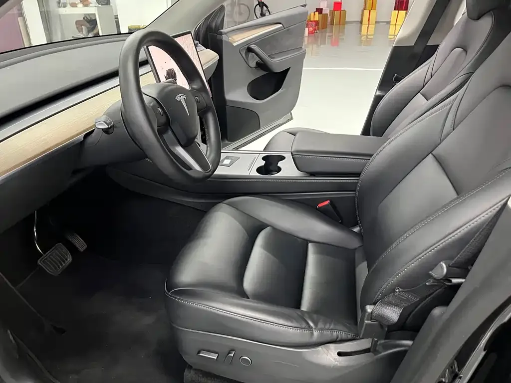 Tesla Model Y — фото 2
