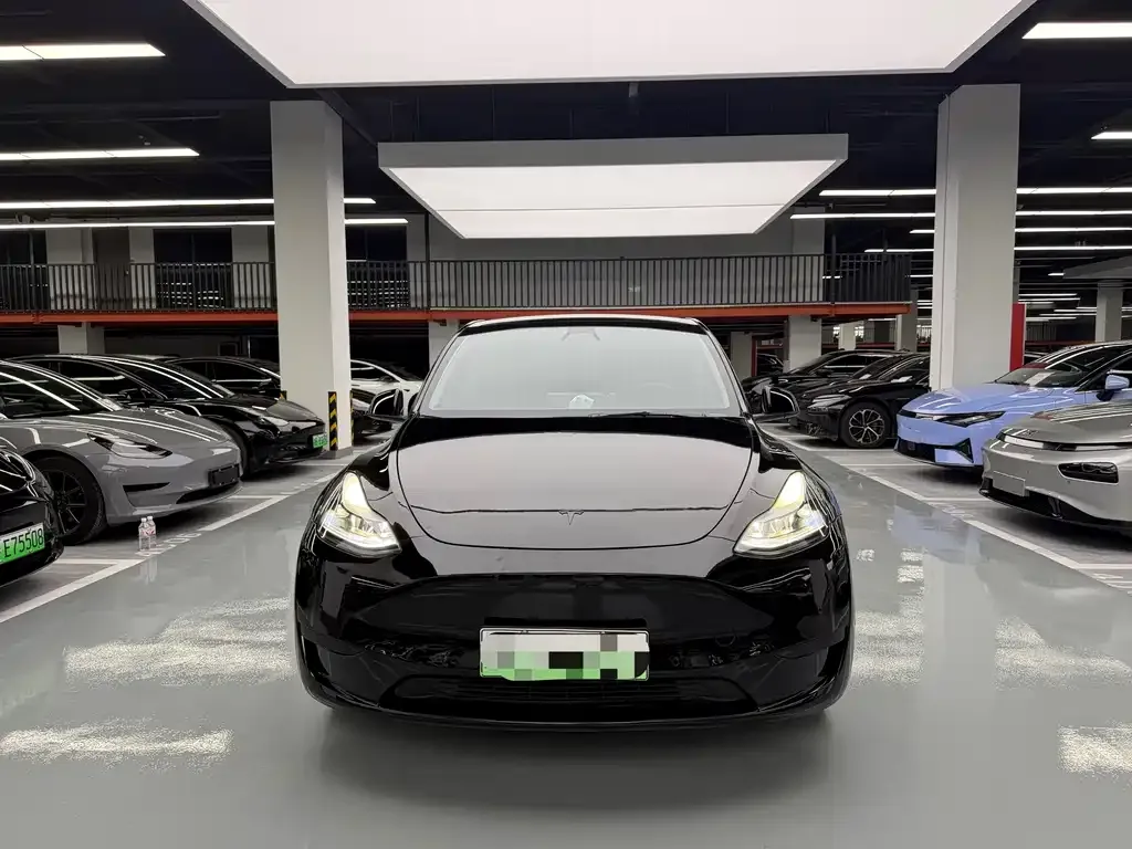 Tesla Model Y — фото 8