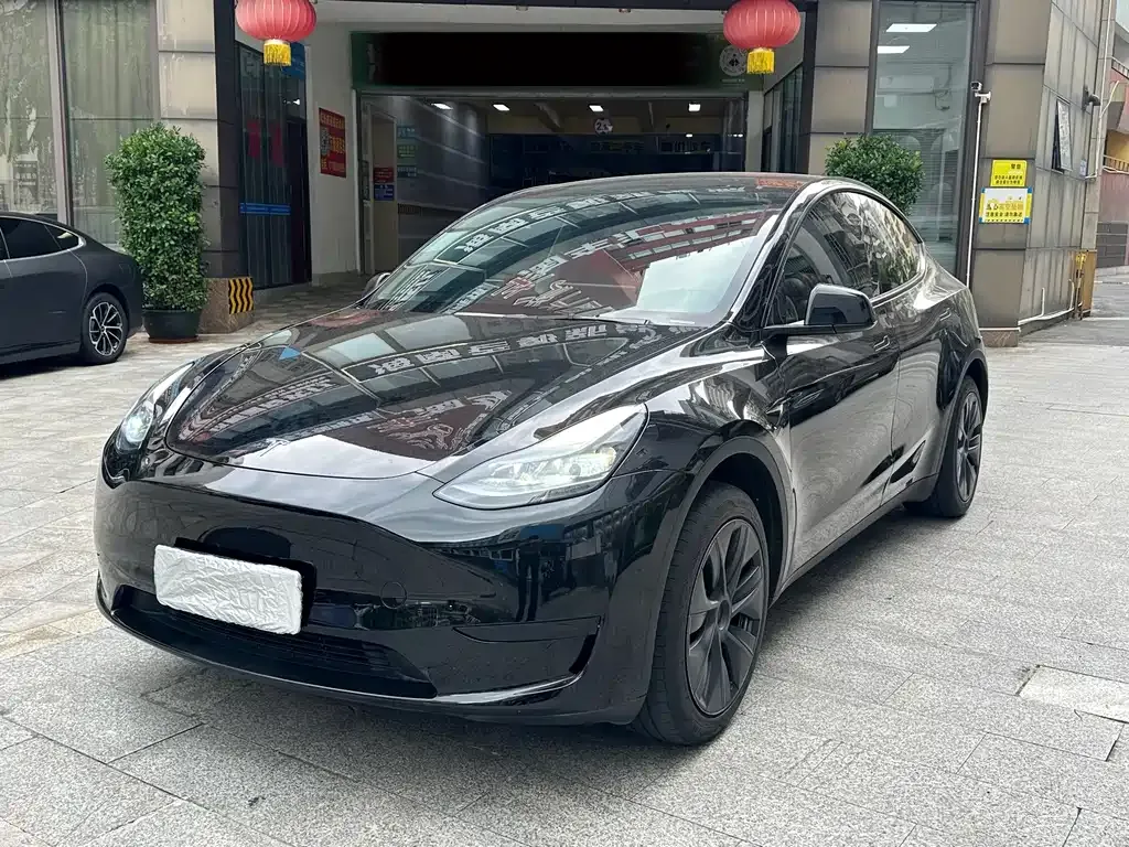 Tesla Model Y — фото 1