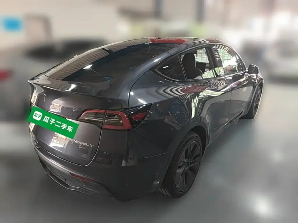 Tesla Model Y — фото 9