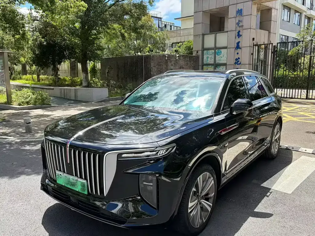 Hongqi E-HS9 — фото 1
