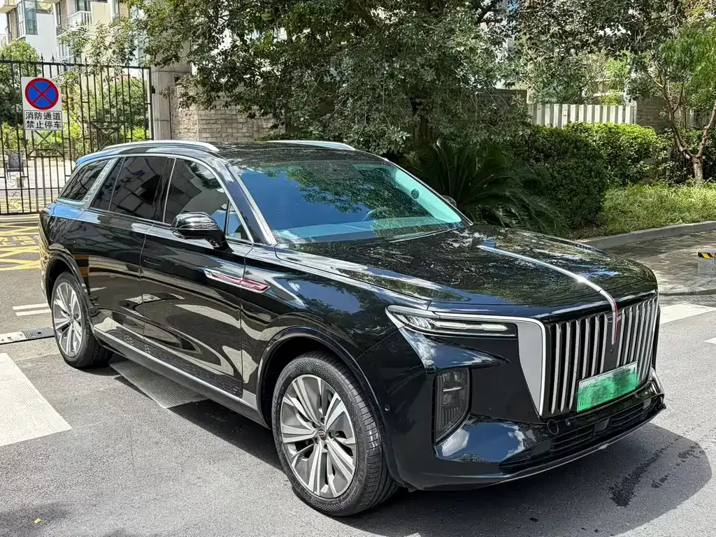 Hongqi E-HS9 — фото 3