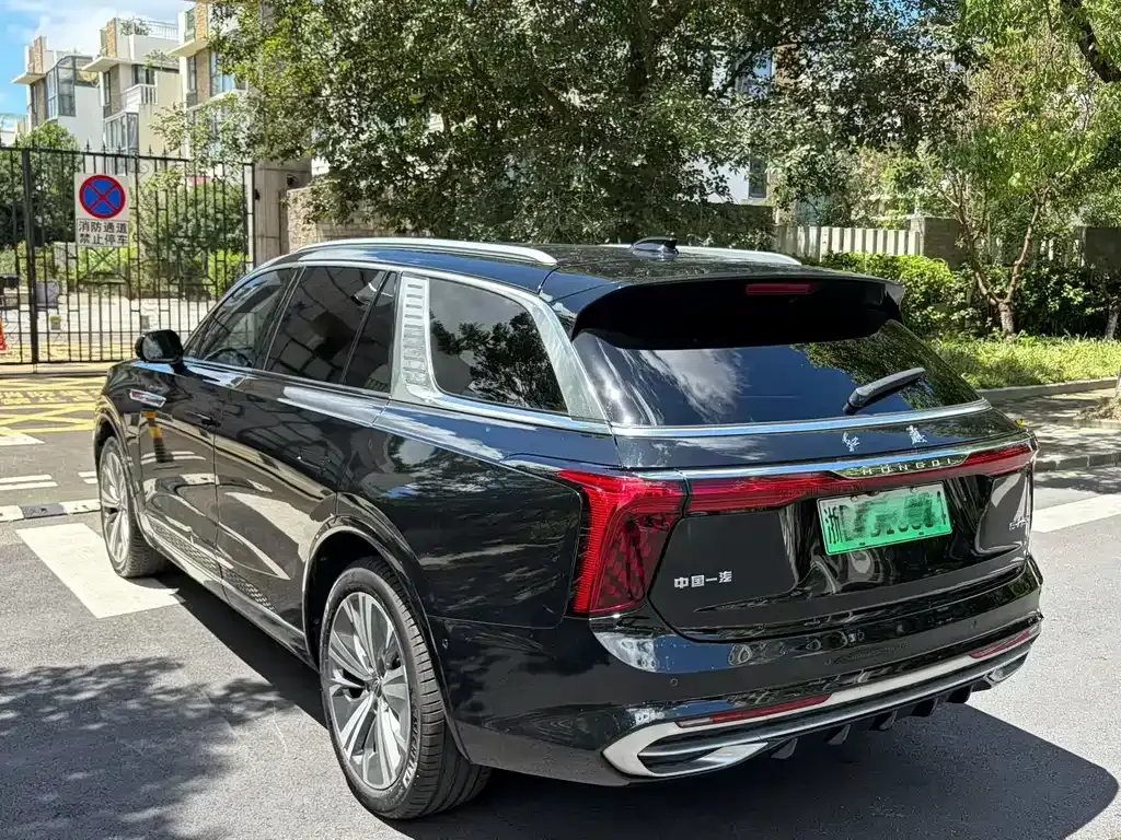 Hongqi E-HS9 — фото 4