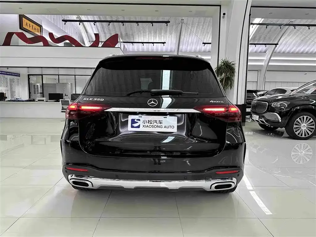 Mercedes-Benz GLE (Import) — фото 3