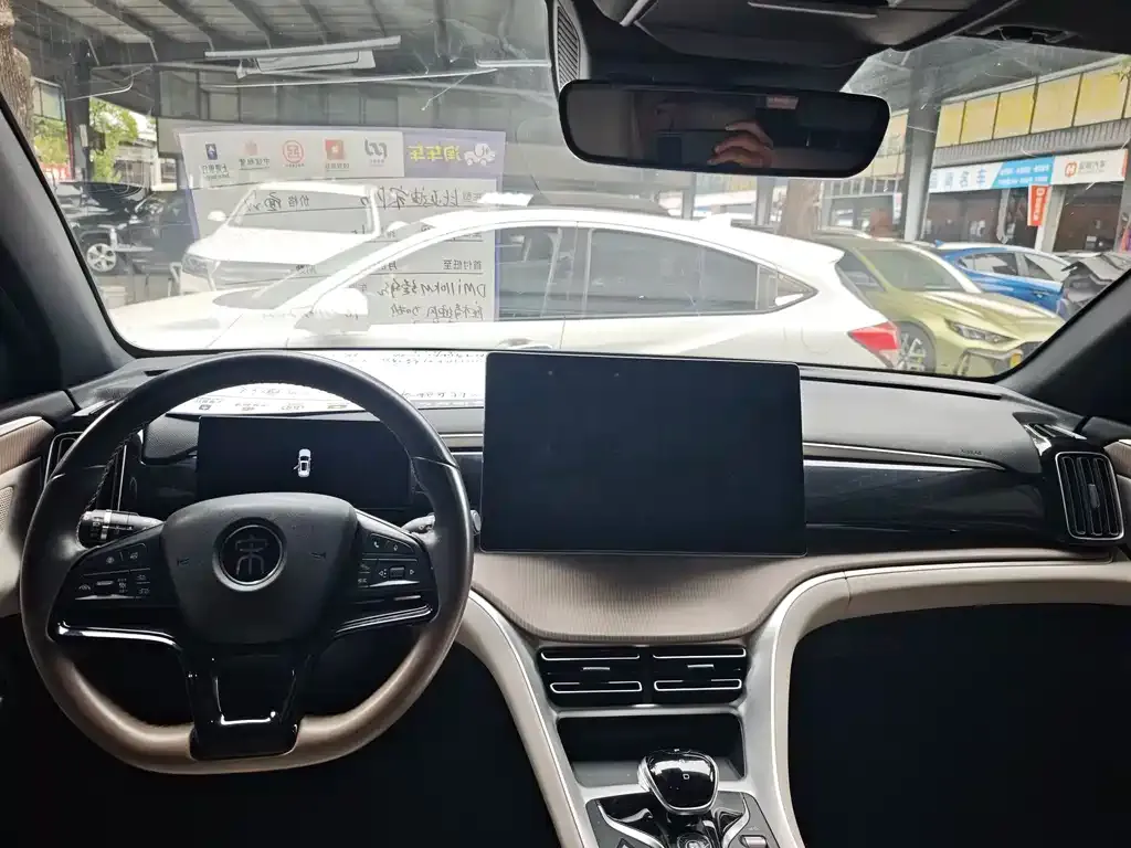 BYD Pro New Energy — фото 6