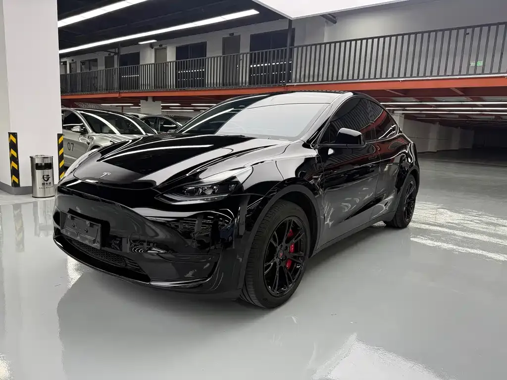 Tesla Model Y — фото 1