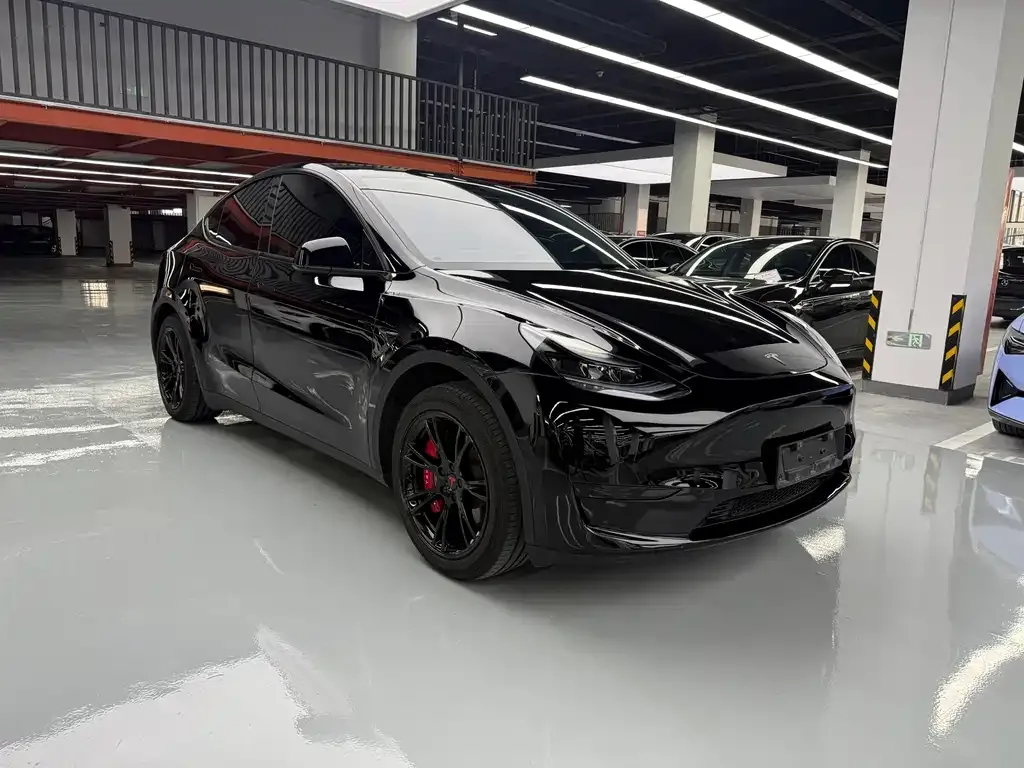 Tesla Model Y — фото 5