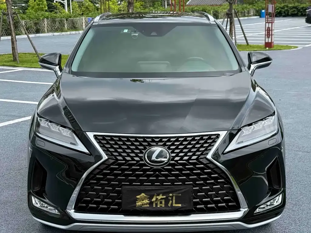 Lexus RX — фото 4