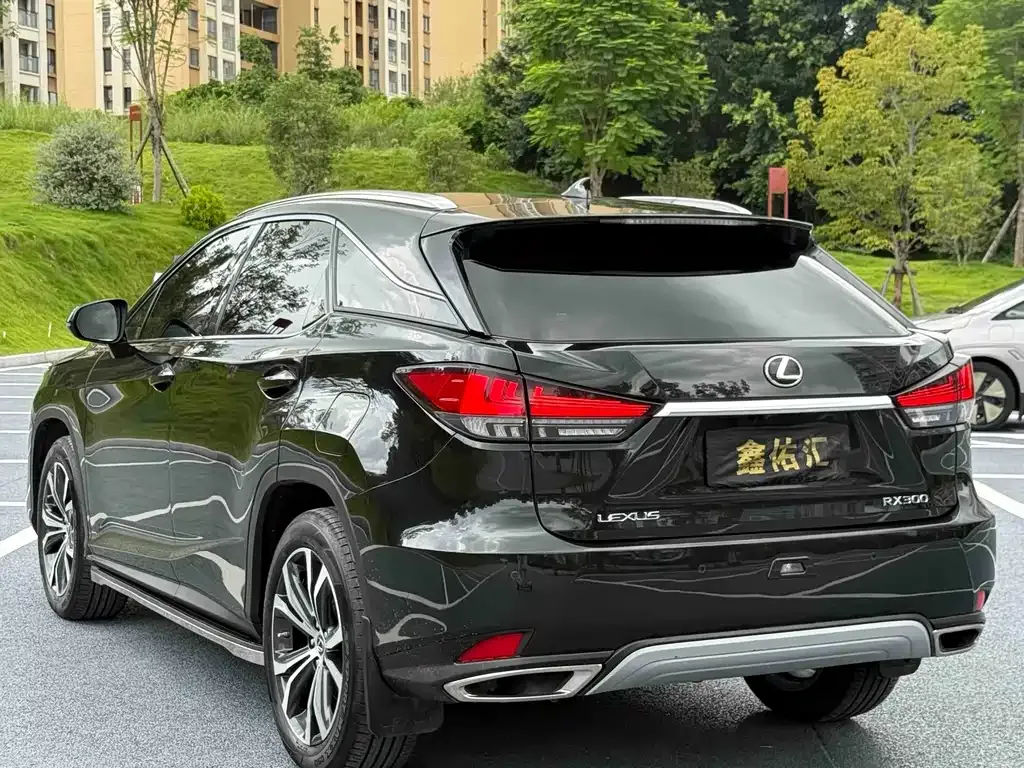 Lexus RX — фото 8