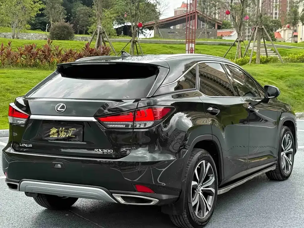 Lexus RX — фото 3