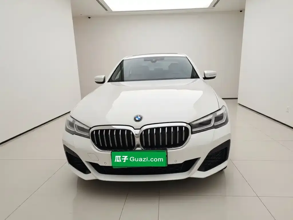 BMW 5 Series New Energy — фото 6