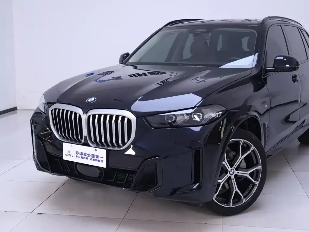 BMW X5 — фото 9