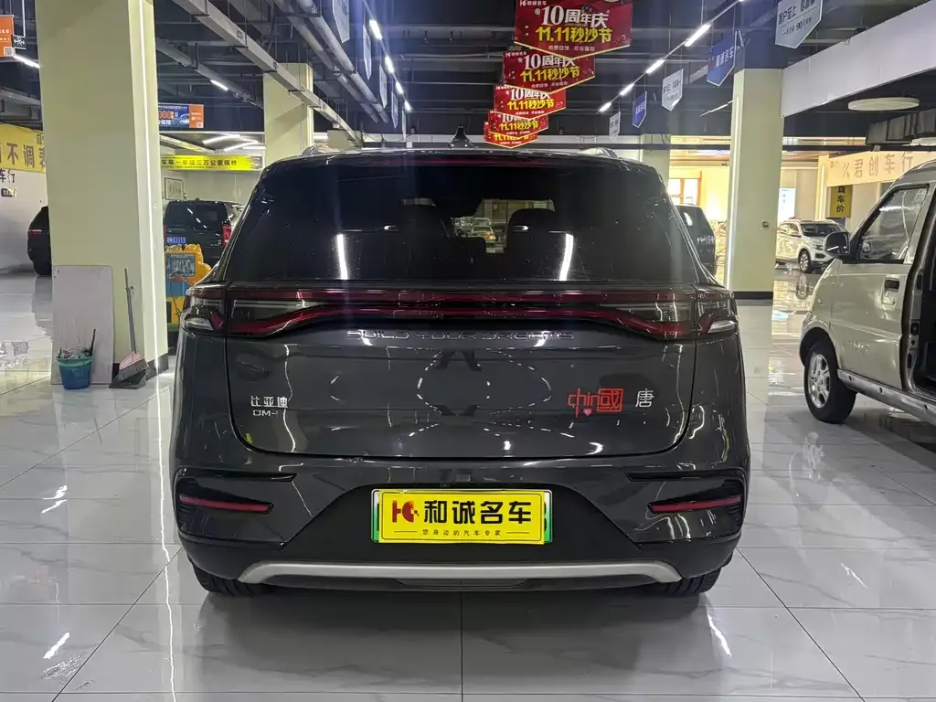 BYD Tang New Energy — фото 6