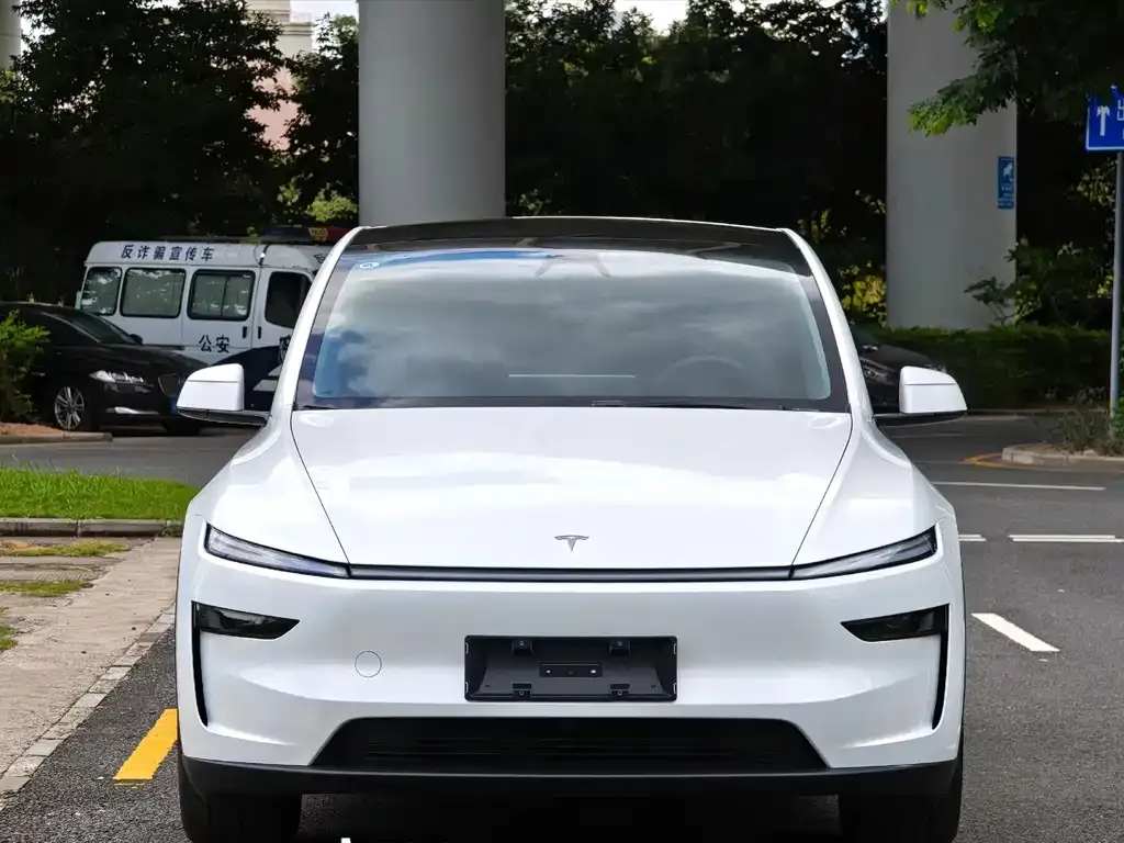 Tesla Model Y — фото 2