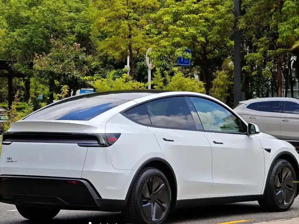 Tesla Model Y — фото 9