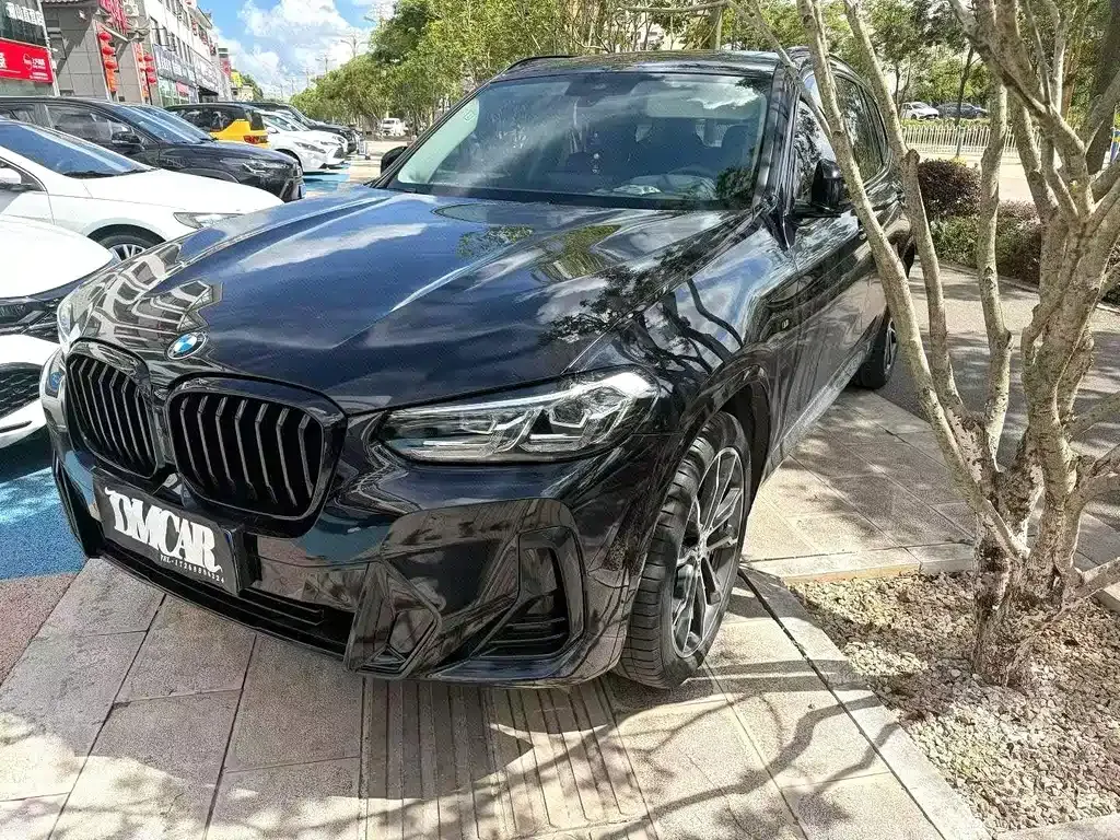 BMW X3 — фото 1