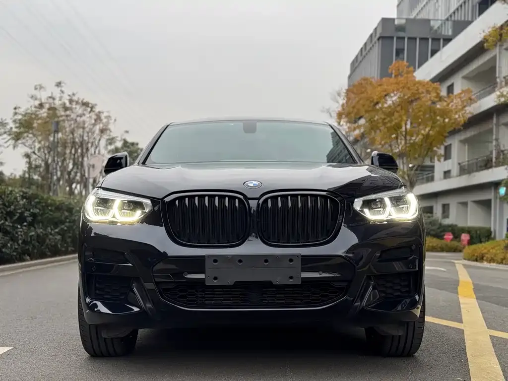 BMW X4 — фото 7