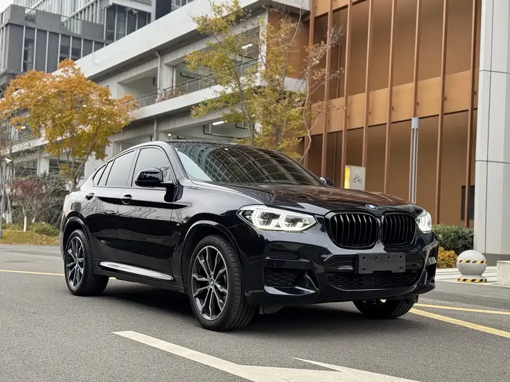 BMW X4 — фото 6