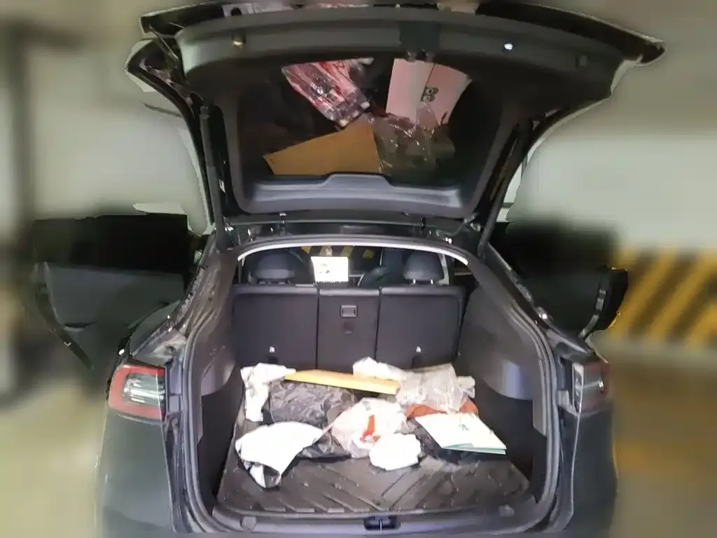 Tesla Model Y — фото 2