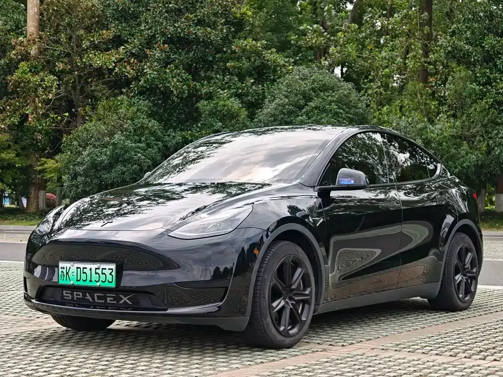 Tesla Model Y — фото 1