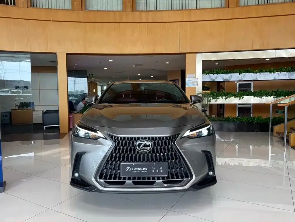 Lexus NX New Energy — фото 7