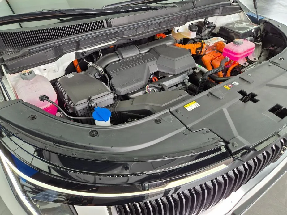 Kia Carnival — фото 10