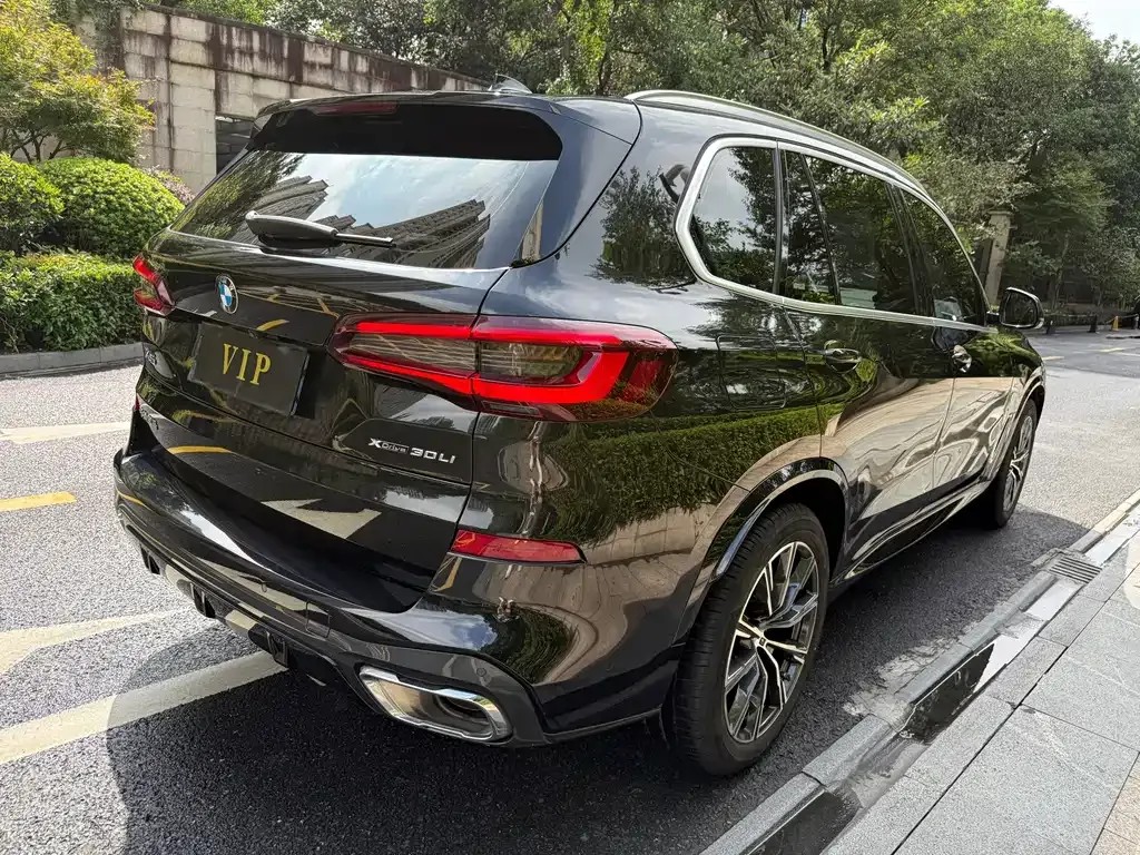 BMW X5 — фото 10
