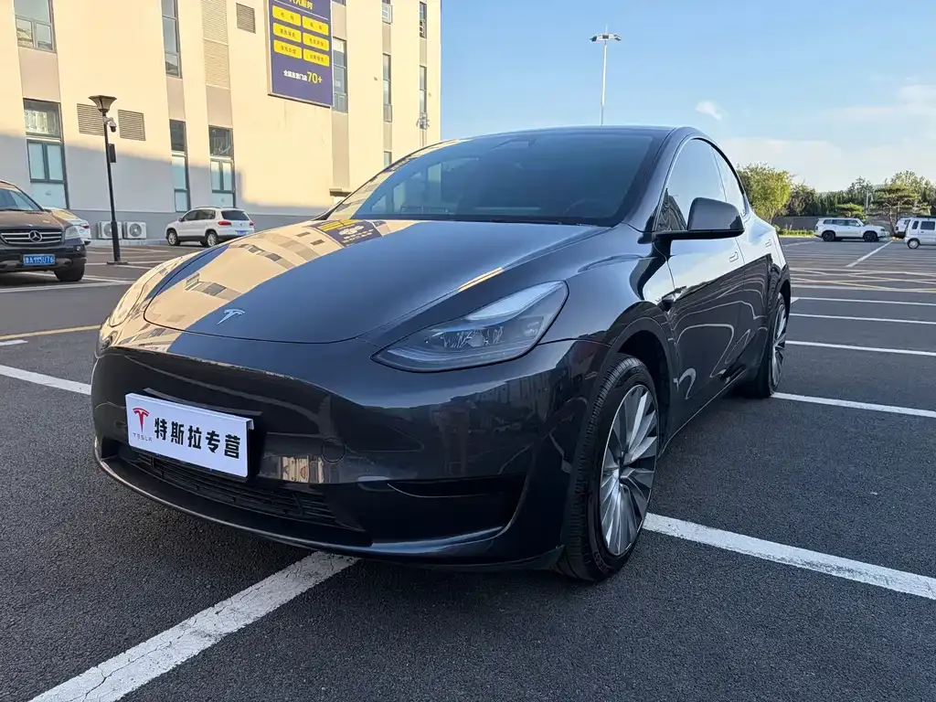 Tesla Model Y — фото 1