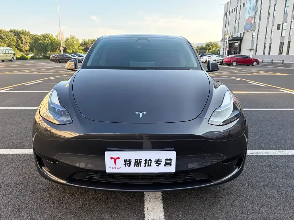 Tesla Model Y — фото 10