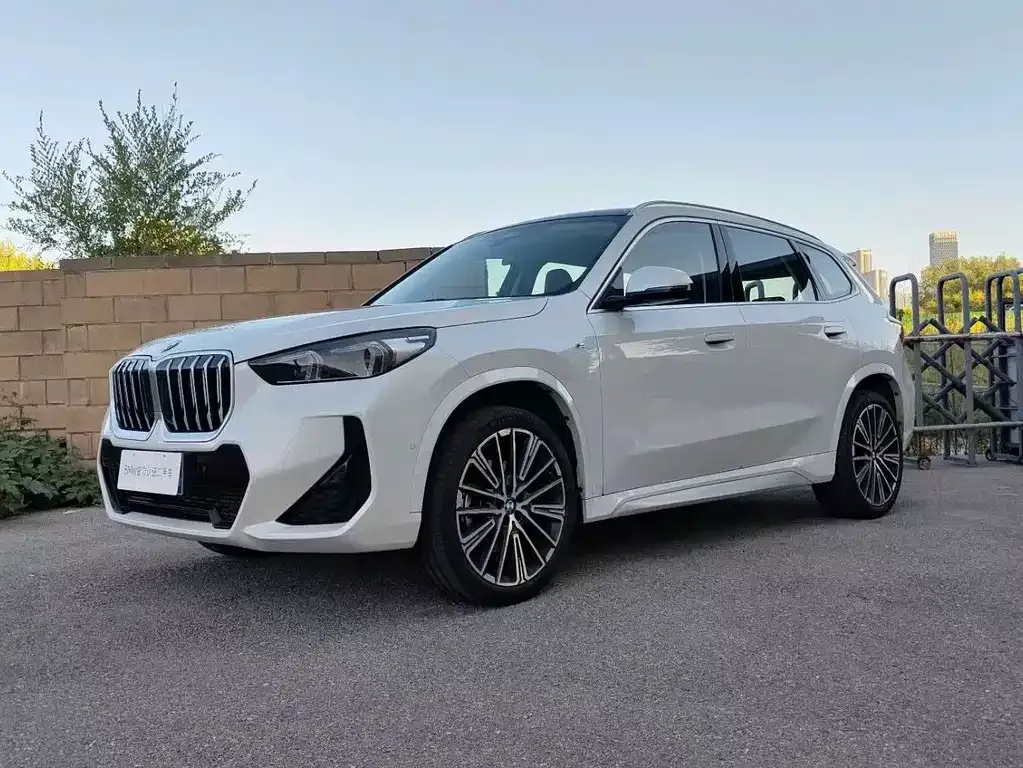 BMW X1 — фото 1