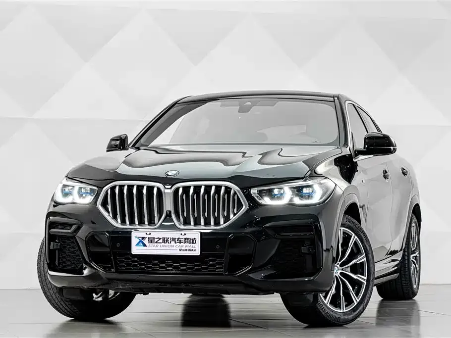 BMW X6 — фото 8