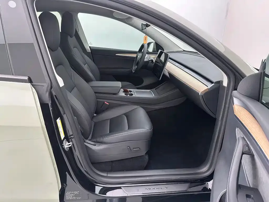 Tesla Model Y — фото 10