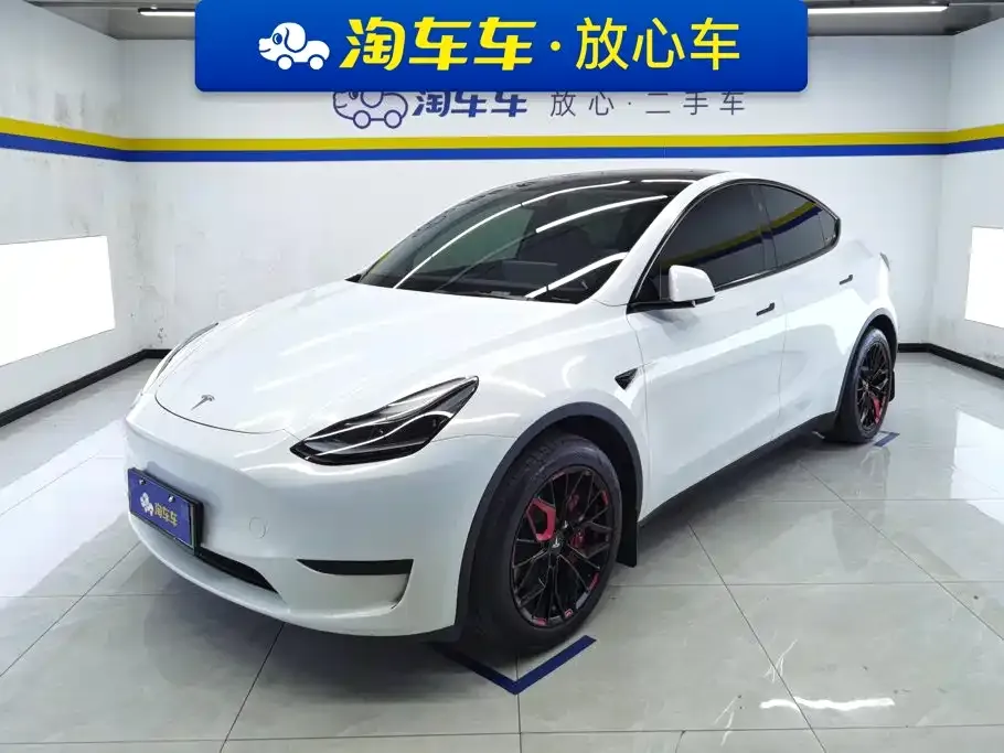 Tesla Model Y — фото 1