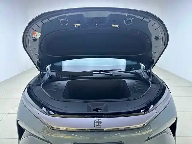 BYD Tang L — фото 2
